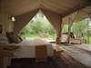 Naibor Luxury Camp - Tent 